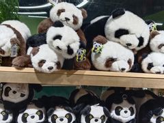 -上海大自然野生昆虫馆(东方明珠·爬宠昆虫探索中心)