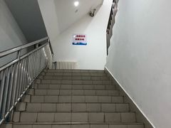 -重庆市奥林匹克体育中心-游泳跳水馆