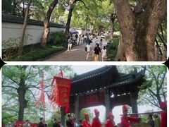 -汇龙潭