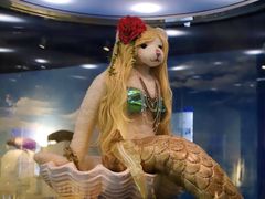 -成都泰迪熊博物馆