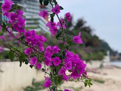 -巽寮湾