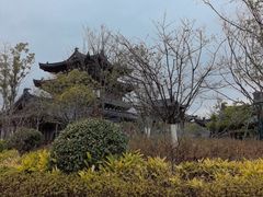 -江心屿景区