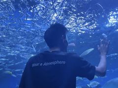 -海合安成都极地海洋公园