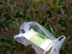 -华荣哲绿豆饼(泰安店)