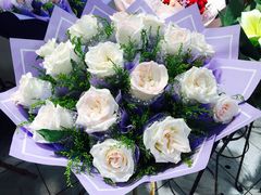 -双季花艺园艺市场(浦东店)