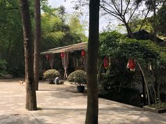 -铁山坪森林公园