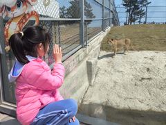 -西霞口神雕山野生动物世界