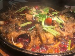 -老板恋上鱼(印象城店)