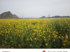 -海底捞火锅(凤凰广场店)