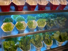 自助取餐区-芭菲盛宴·环球美食(北城国际店)