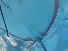 -泉城欧乐堡海洋极地世界