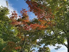 -长春世界雕塑园冰雪艺术天地