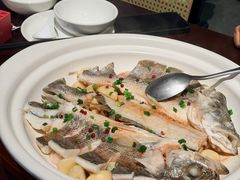 -单家老院·院子里的青岛菜(沙子口店)