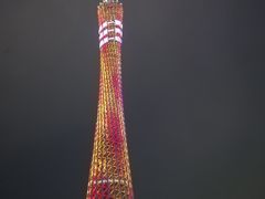 -珠江夜游广州塔·中大码头