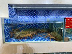 -欧记·龙城港(欣都店)