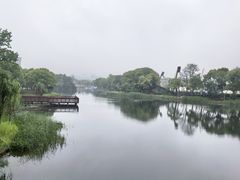 -新江湾城公园
