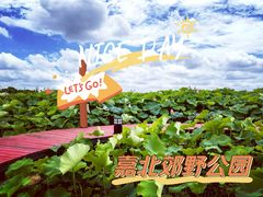 -嘉北郊野公园