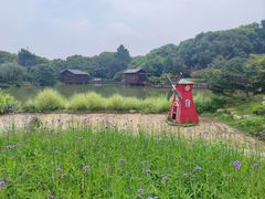 -宝岩生态观光园