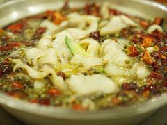 沸腾黑鱼-天天沸腾(东港路店)