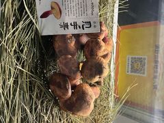 -滇野云南野生菌餐厅(陕西南路店)