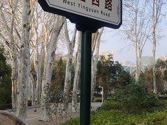 -武汉大学-樱园