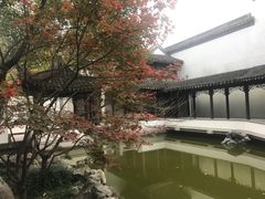 -秋霞圃