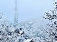-紫金山山顶公园