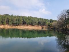 -南京市无想山景区