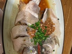 -新白鹿餐厅(龙游路店)