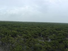 -北海金海湾红树林生态旅游区