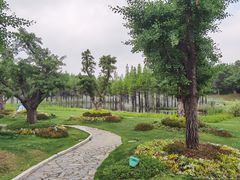 -南京银杏湖乐园