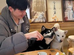 -柴の食堂·日式家庭料理·熊之肆(大学路店)