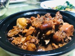兔肉-八景休閒山莊  廣東十大名山莊
