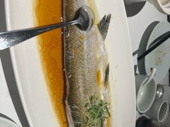 -翡翠江南(国贸商城店)