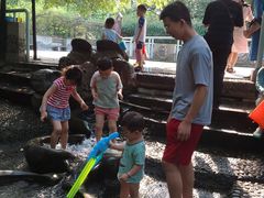 -成都市活水公园