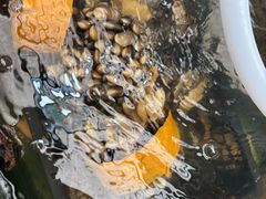 -蠔爺王志德生蚝馆(金沙湾店)