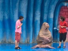 -华夏文旅海洋公园