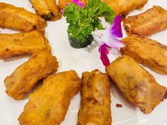 -丰食农家乐