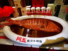 -阿五黄河大鲤鱼(纬三路店)