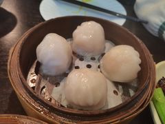 添运来虾饺皇-添运来(茶园奥园广场店)