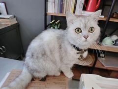 iphone_upload_pic-研途咖啡馆(健康路店)