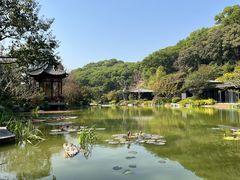 -云溪植物园