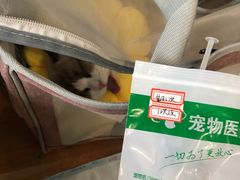 -伟伟宠物医院·瑞派猫友好医院·猫科(光谷店)
