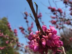 -白塘生态植物园