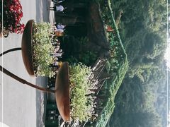 -古龙峡云天玻霸
