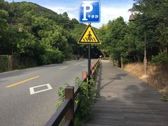 -普陀山风景名胜区-千步大沙