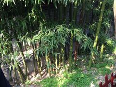 -王家大院