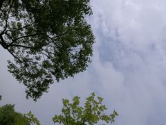 -南京医科大学(江宁校区)