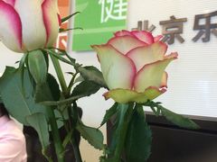 -乐健健康管理中心