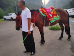 -大连天门山国家森林公园